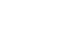 Logo de l'université du Sud-Est (SEU)