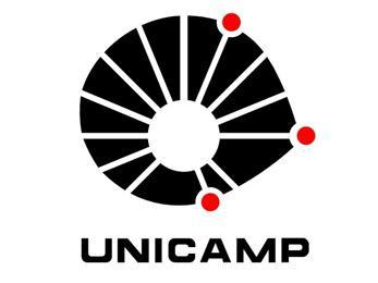 Logo de l'université d'Etat de Campinas (UNICAMP)