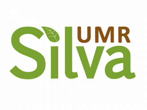 Silva UMR