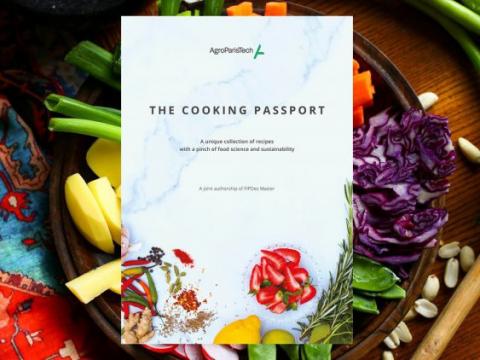 Couverture du livre The Codind Passport Couverture du livre The Codind Passport