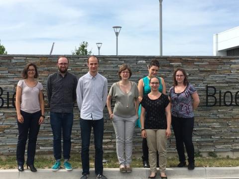 Equipe du projet EnzyTurf Equipe du projet EnzyTurf