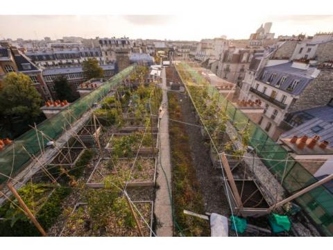 Jardin expérimental sur le toit d’AgroParisTech Photographie du jardin expérimental sur le toit d’AgroParisTech