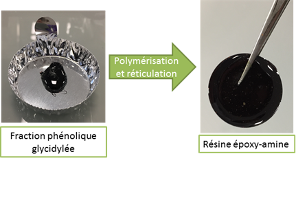 expérience scientifique