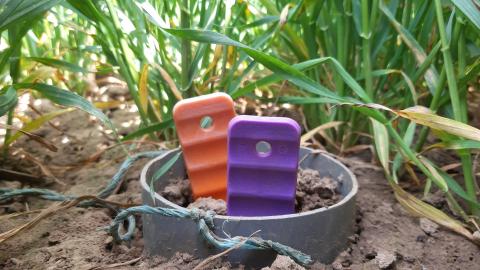 Plants Roots Simulator ® Les sondes PRS sont des membranes fixatrices d'ions dans la solution du sol. Elles permettent de connaître la disponibilité des nutriments pour la culture sur un pas de temps donné.