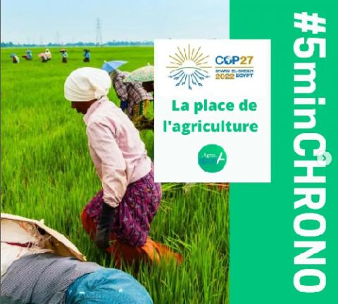 Capture d'écran 5 minutes chrono Les Agros à la COP Capture d'écran 5 minutes chrono Les Agros à la COP