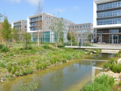 Vue du Campus Agro Paris-Saclay Vue du Campus Agro Paris-Saclay