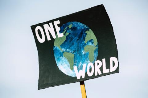 Pancarte One world Pancarte One world