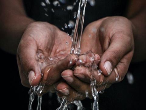 Photographie de amins contenant de l'eau