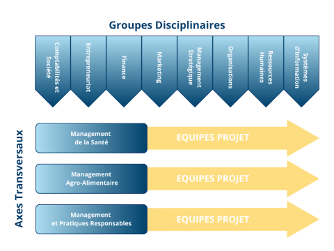 Infographie des groupes disci^linaires et des axes transversaux de l'unité de recherche MRM