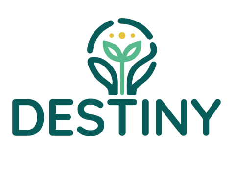 Logo projet Destiny