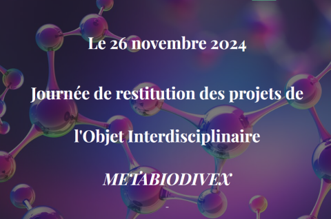 Metabiodivex Metabiodivex