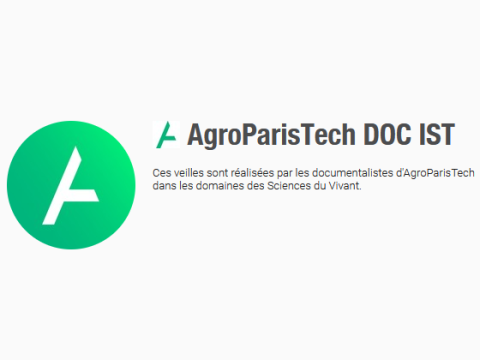 Veille documentaire