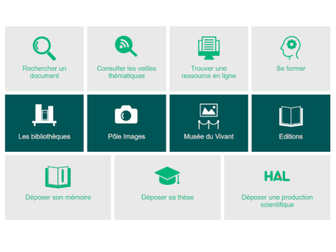 Bibliothèques - infodoc