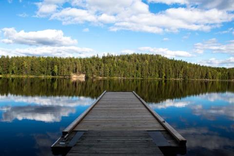 Ponton en bois au sein d'un paysage eau et forêt