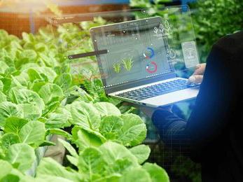 L’agriculture au prisme des data sciences