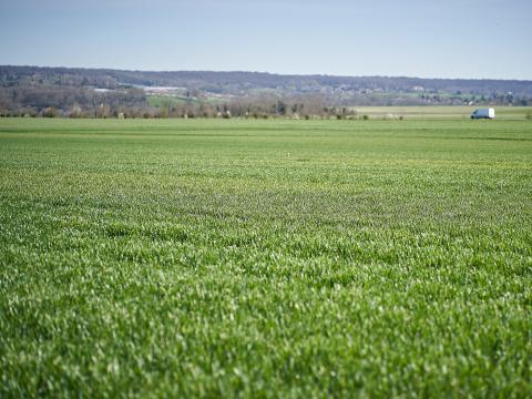 Projet Twinfarms