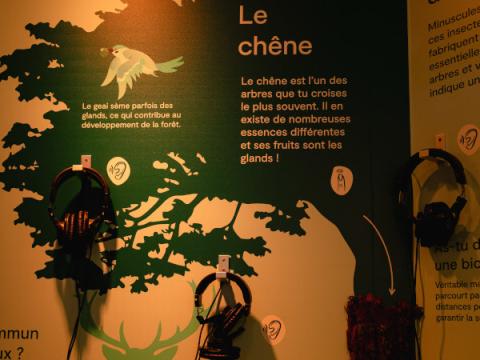 Cabane des sens - SIA 2025