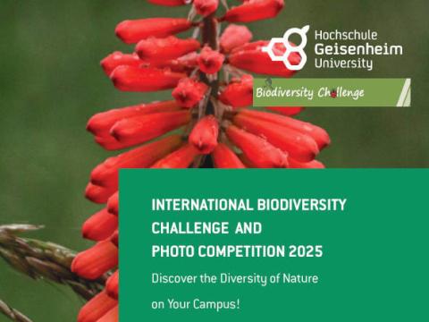 ICA Biodiversity challenge 2025