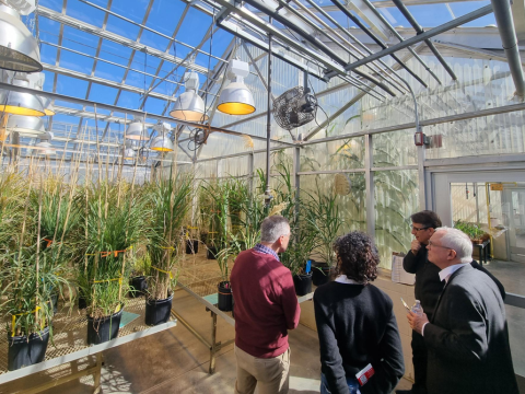 Visite du centre d'innovation en sciences végétales d'UNL